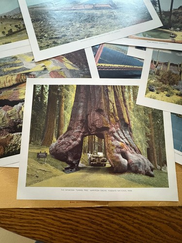 1943 set of 16 prints Scenic Grandeur of the West 8x10’s - Picture 5 of 6
