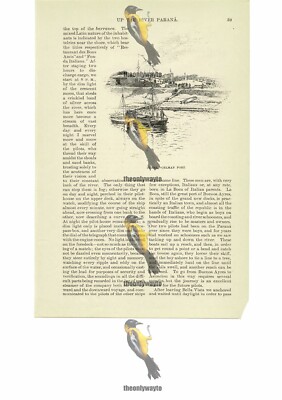 Juarez Celman Port, Paraguay, Book Illustration (Print), 1891