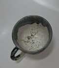 Picture 11 of 11