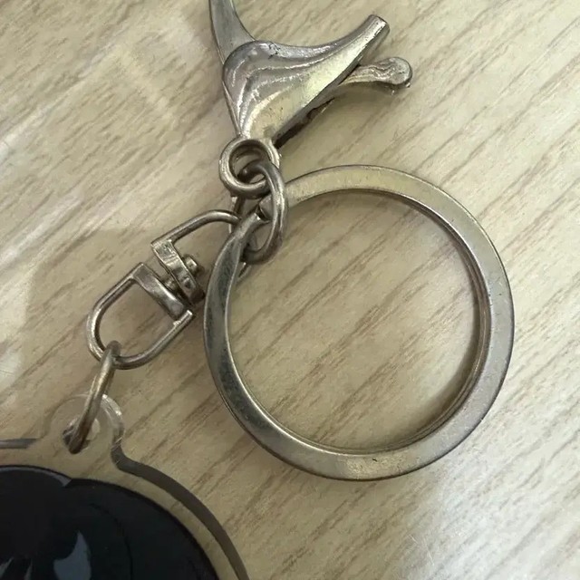Vanitas Signature Keyring, Heavily Used