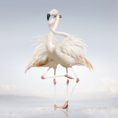 Rustie Green Language (Vinyl) 12'' Album