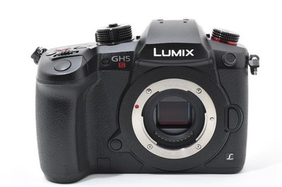 Mint] PANASONIC LUMIX DC-GH5S Mirrorless Digital Camera From JAPAN