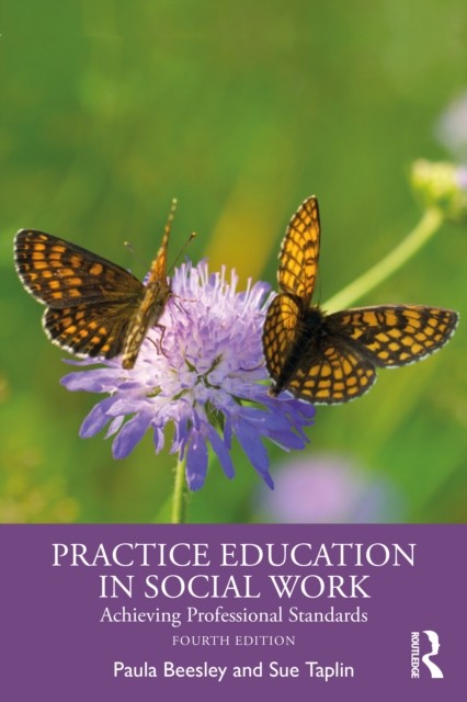 Practice Education In Social Work - Image 4