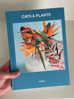 Signed Stephen Eichhorn Cats & Plants Hardcover Collectible Art Book 2nd Ed 2018