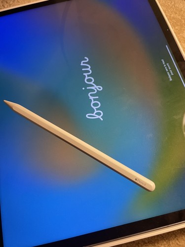 ipad pro 12.9 6th generation 128Gb Wifi + Cellular With Apple Pencil 2nd Gen - Picture 2 of 5