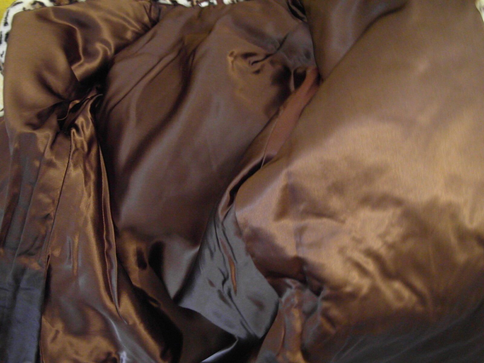 Bild 11 von 12