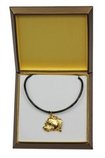 Staffordshire Bull Terrier, Terrier III - Dog Collar IN Ges