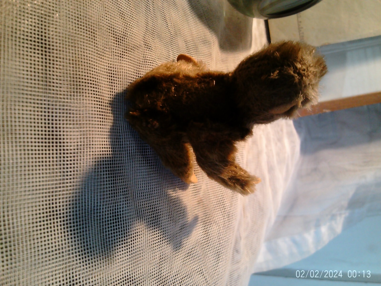 Bild 6 von 9