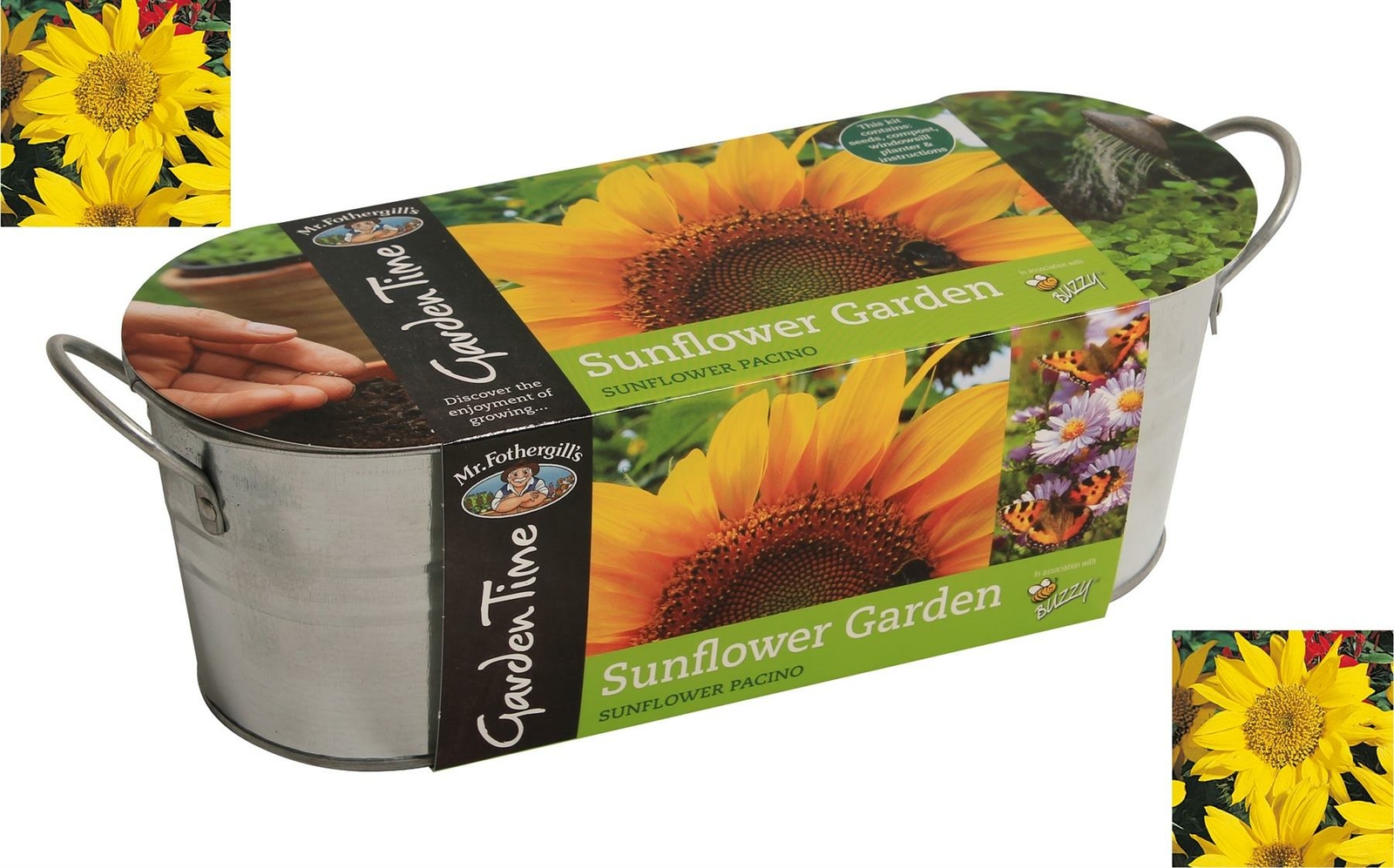 Strawberry Herbs Seeds Indoor Sunflower growing kit Mr Fothergill's eBay