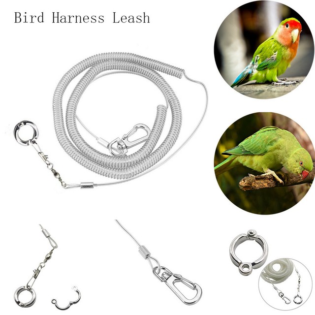 parrot leg leash