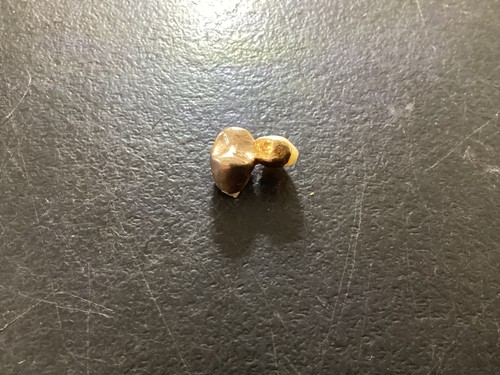 Schrott Dental Echt 14k Gold Zahnbrücke 2,8gramm