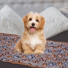 Pet Blanket, Flannel Paw Printed Throw Blanket,16x24 Inches, Black, 1 Pack 3