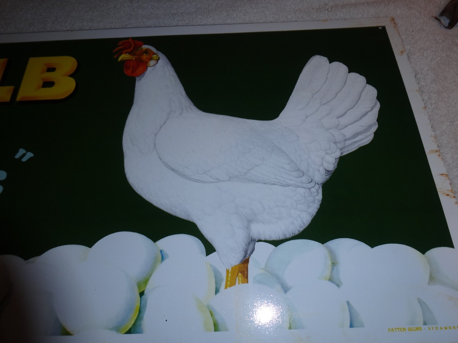 Picture 10 of 21