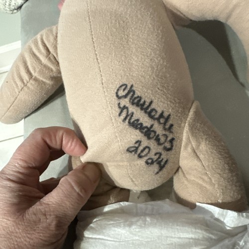 Charlotte Meadows 20” 7 Pound Cuddle Baby - Imagen 12 de 14