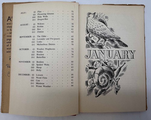 Selten um 1944 1. Auflage Buch 50 Schwuchteln von Julian - Natur Folklore Wald - Bild 5 von 10