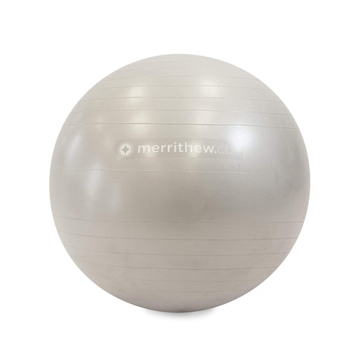 Stability Ball with Pump Stability, Silver, 26"/65cm