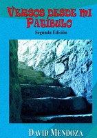 David Mendoza | Versos Desde MI PatÍBulo | Taschenbuch | Spanisch (2016)
