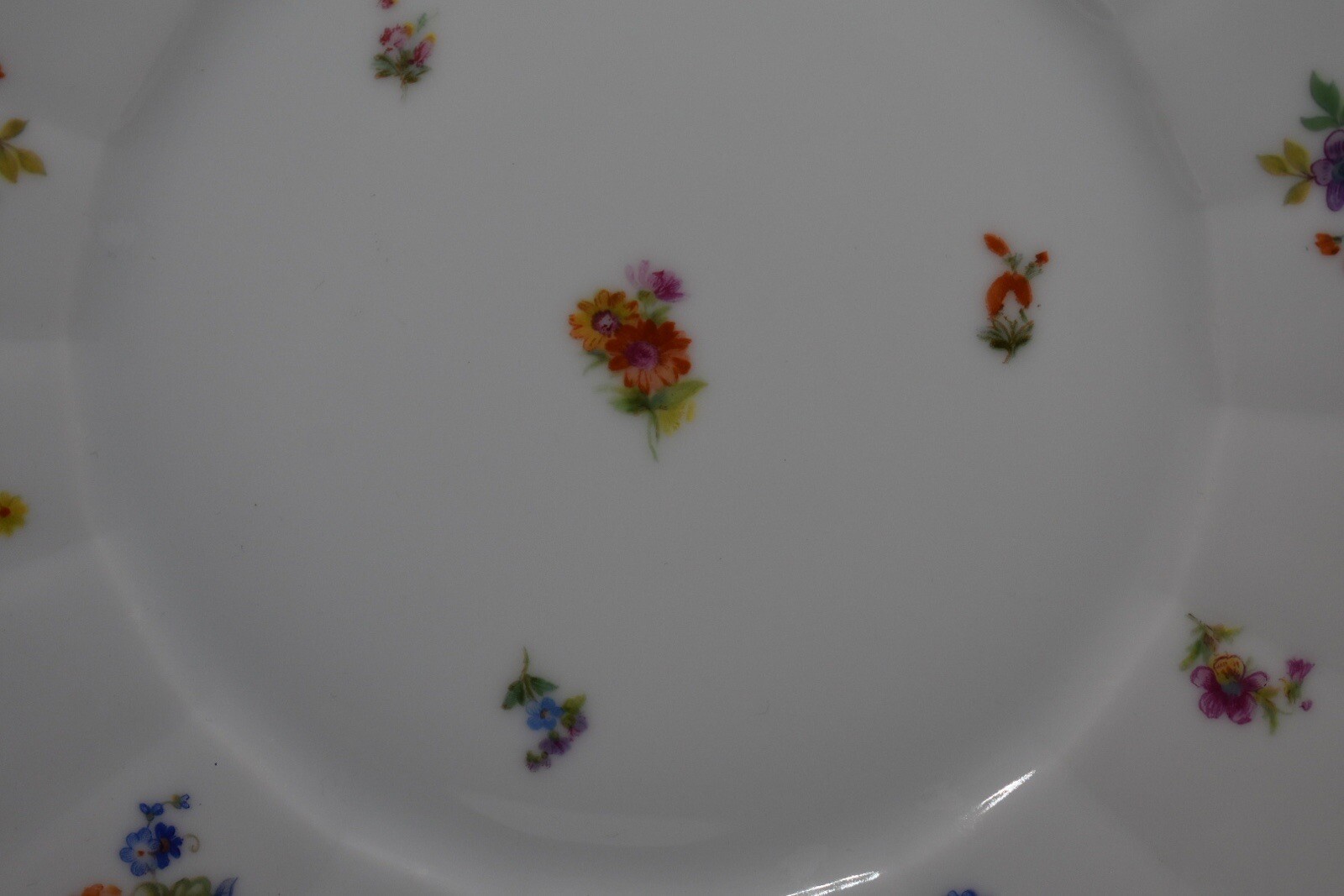 Picture 5 of 8