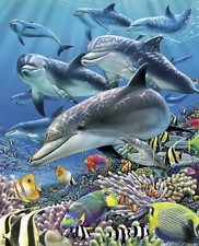 Ocean Living Sea Digital 35" Panel Multicolor 100 Cotton Fabric by The Panel