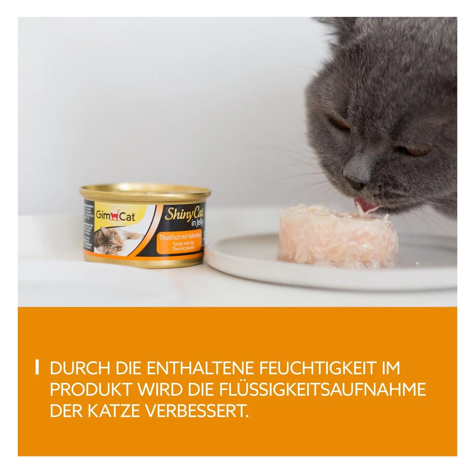 ShinyCat in Jelly Thunfisch mit Hühnchen - Nassfutter mit Fisch und Taurin fü... - Bild 3 von 4