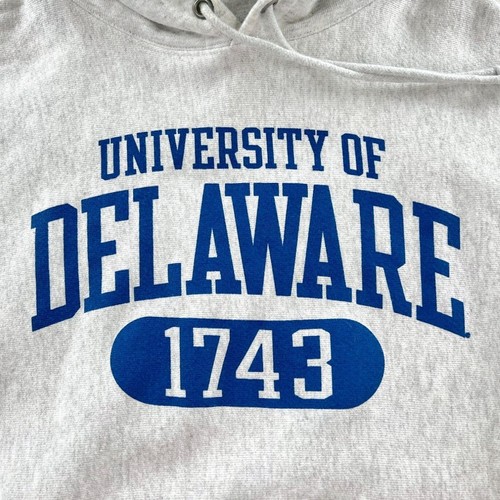 Champion University of Delaware Blue Hens Hoodie Medium - Picture 2 of 5
