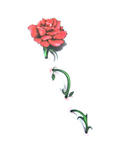 3D Red Rose Flower Temporary Tattoo Waterproof Body Art 4 in