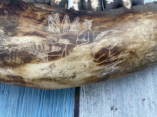 Engraved Erotic Scenes Jaw Bone Scrimshaw Possible Bison - Picture 9 of 11