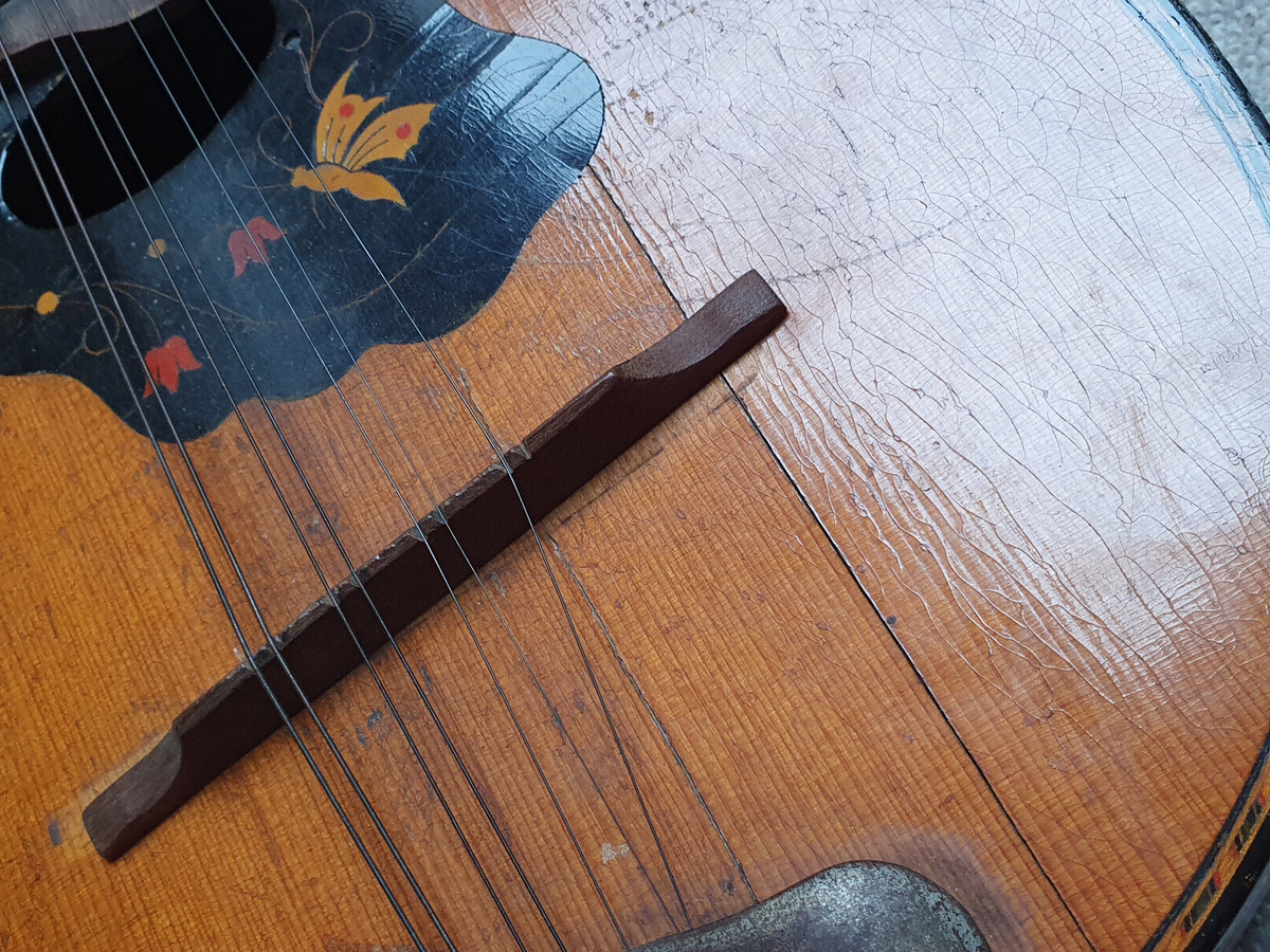 old German mandolin with inlayed butterfly , needs repair! | eBay