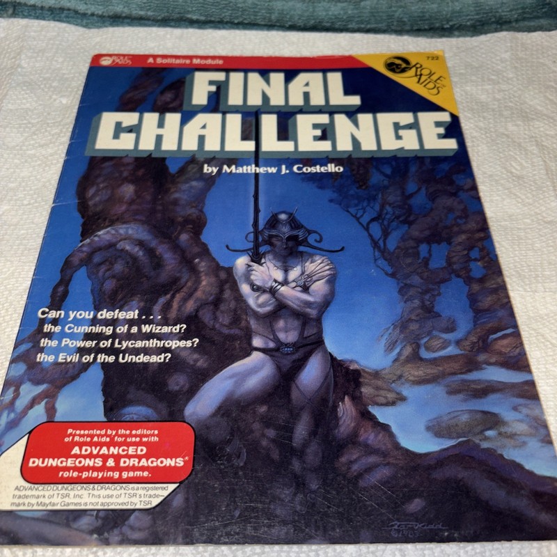 Final Challenge by Matthew J. Costello (1984) Role Aids Tom Kidd D&D AD&D RPG