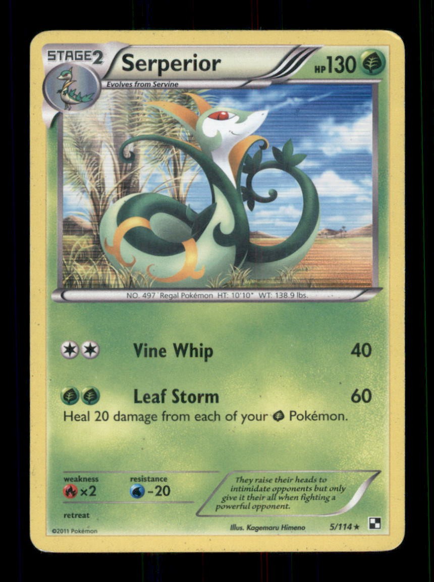 Serperior (5) Holo Rare Holo Black and White 5/114 MP