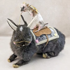Jackalope and Fairy Mouse Rider Display Rabbit Taxidermy Oddity curiosities gift