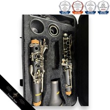 Resin C Clarinet Body with Case Black PlayTech