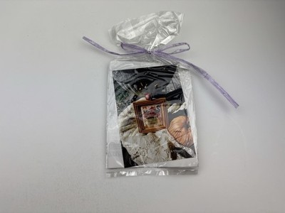 Ewe And Eye And Friends Cat On A Hag Counted Cross Stitch Kit 9R