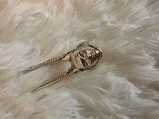 Jojo ring