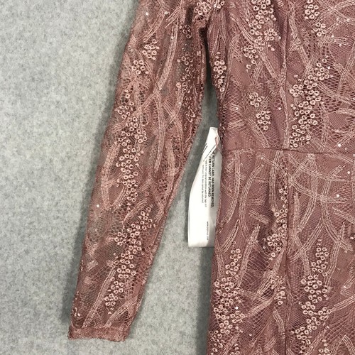JS Collections Lace Gown Size 2 Embroidered Giovanna Evening Blush Column Mother - Picture 4 of 15