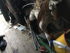 Vintage Rocking Horse In Need Of A Few Repairs But Would Look Lovely Done