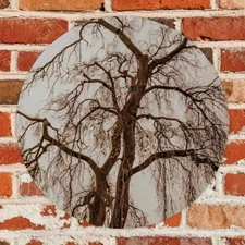 Winter Cold Minimalist Landscape Round Aluminum Wall Art