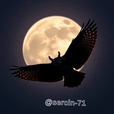 Digital Image Picture Photo Wallpaper Background Desktop AI Art Sample Product