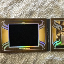 Panini Silhouette Hines Ward Steelers Jumbo Patch Auto Booklet Serial /49 2025