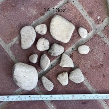 14 WHITECREAM Petoskey Stones Unpolished.  14oz+