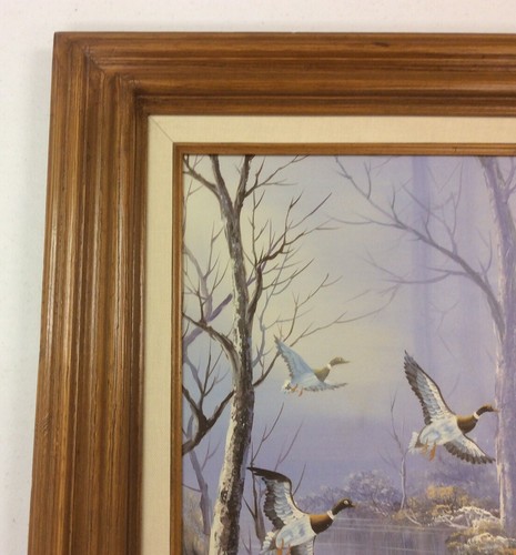 Olio su tela - Waterfowl in volo - Firmato da C. Balwin - Foto 2 di 9