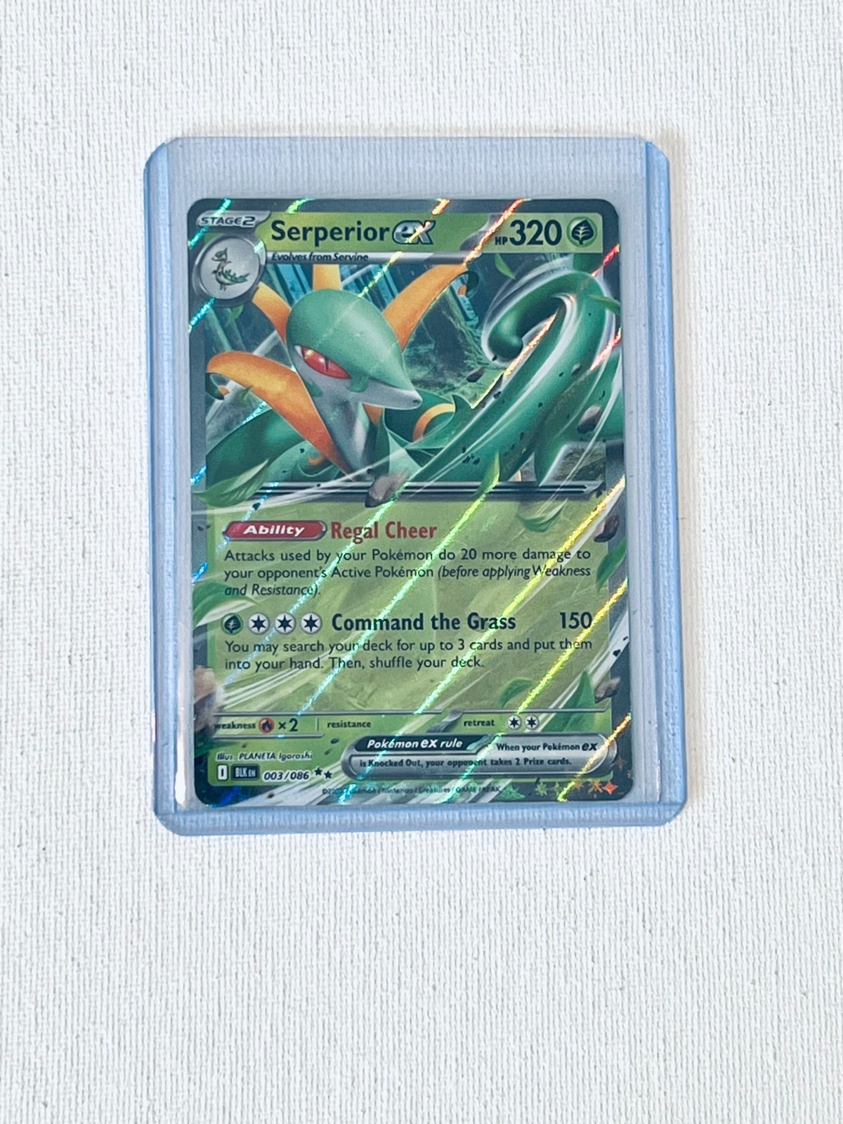 Serperior ex #3 Double Rare Holo Pokemon Sv11B: Black Bolt Card