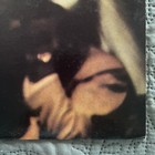 Picture 5 of 20