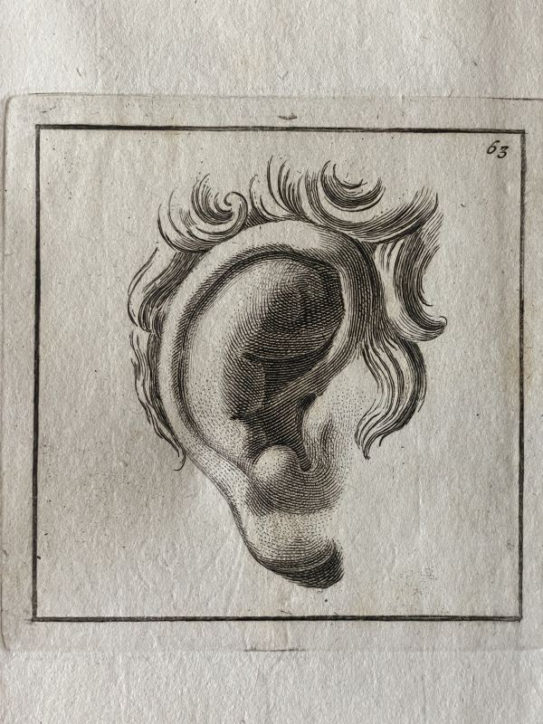 Bild 4 von 5