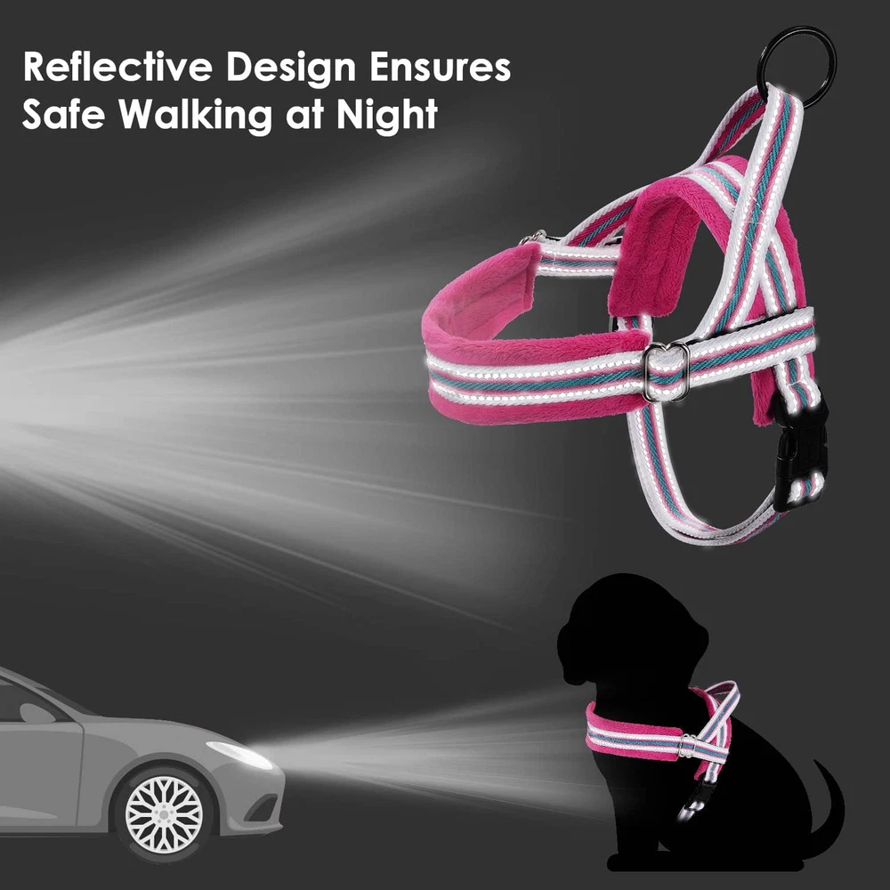 Soft Padded Adjustable Dog Harness & Leash Set for Small Dogs