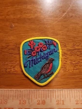 Vintage State of Michigan Sew On Patch FREE SHIPPING V1