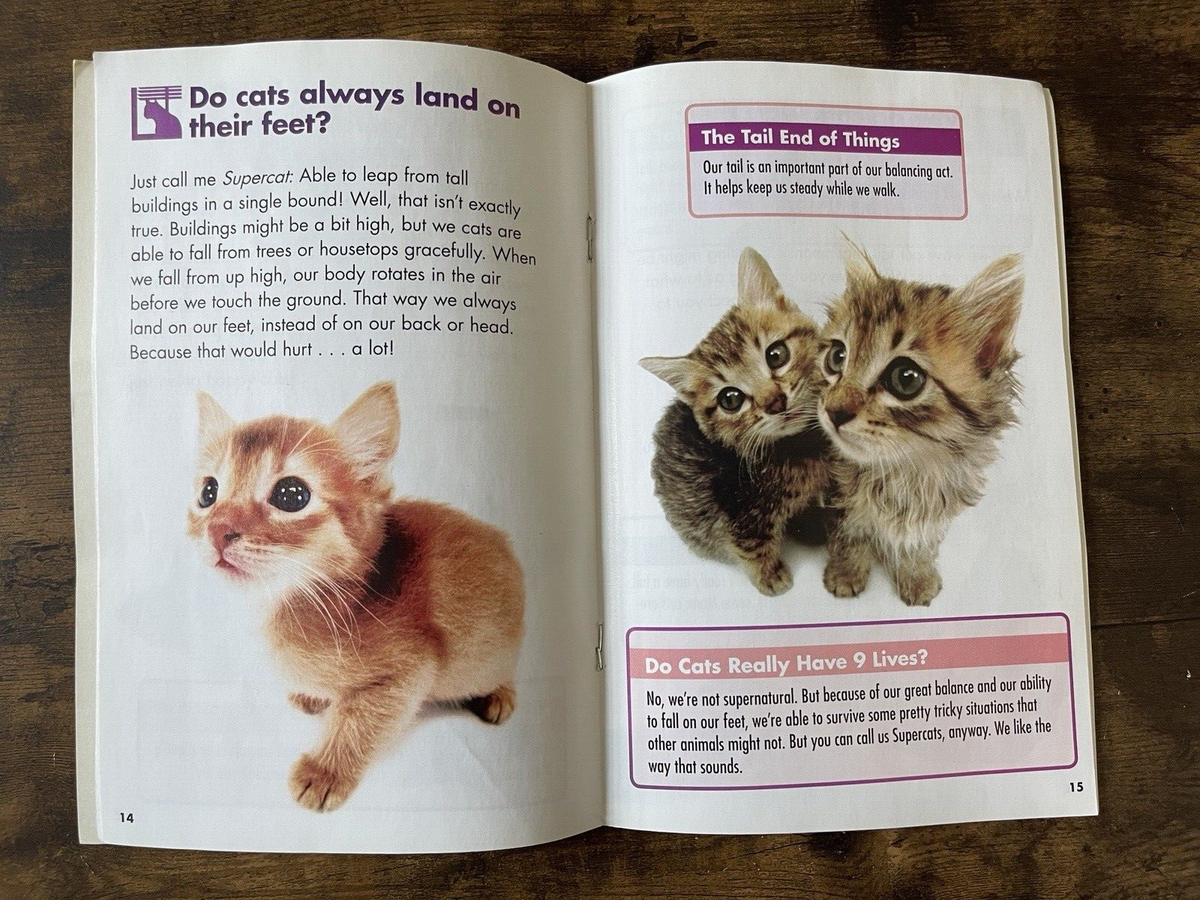 Feline Tell Me All About Cats All About My Cat, Digital Download - Main Image