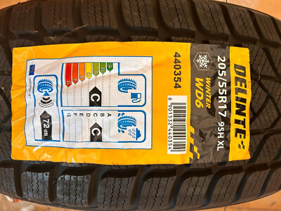 Delinte WD6 Winter 205/55 R17 95H XL M+S