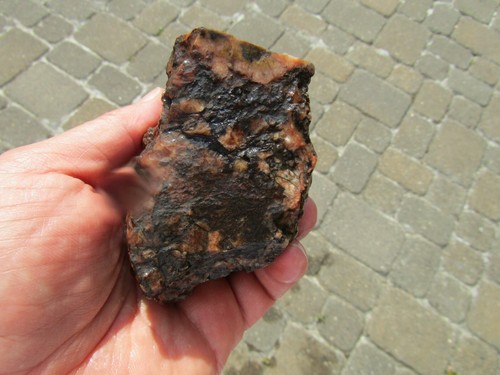 SELTEN fossiler Dinosaurier. KNOCHEN 388 Gramm - Bild 5 von 9