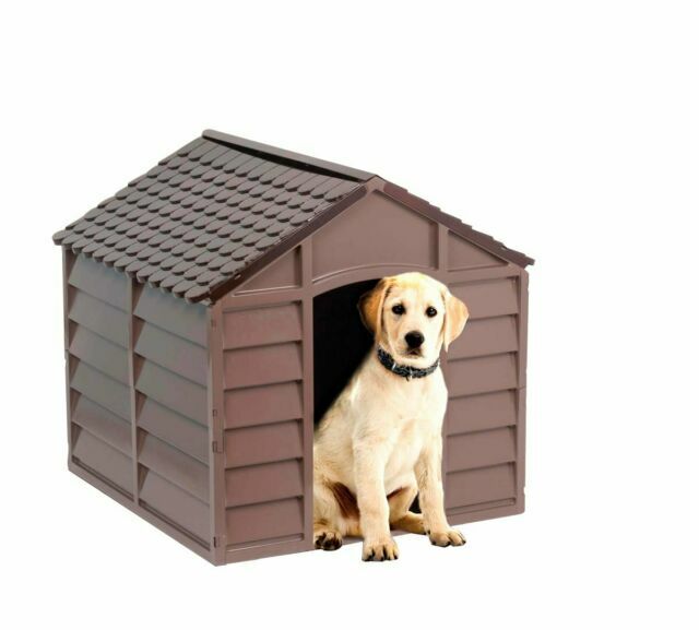 Cuccia Cani Taglia Media Alta Qualità - Spaziosa con Cuscino Ergonomico